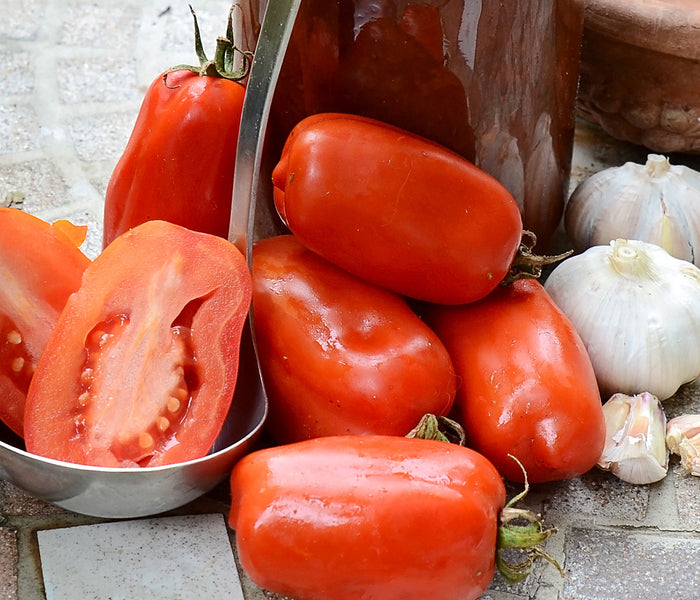 SAN MARZANO-TOMATO