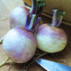 PURPLE TOP WHITE GLOBE-TURNIP