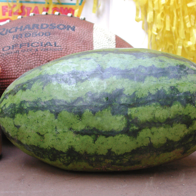 SWEET BEAUTY-WATERMELON