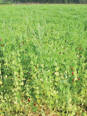 TSC'S FALL MIX-COVER CROP