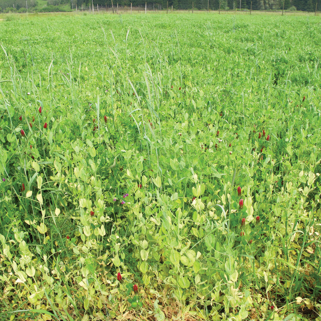 TSC'S FALL MIX-COVER CROP