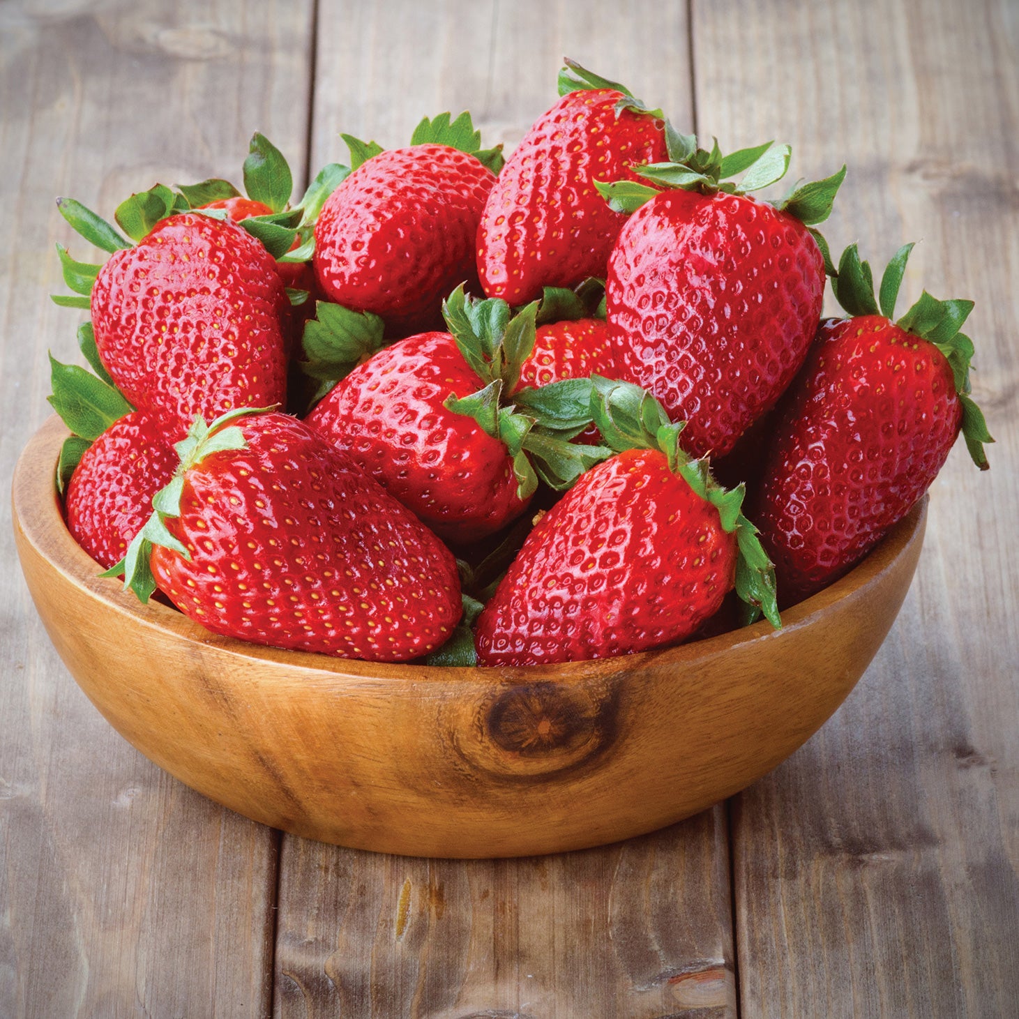 chandler strawberry seeds Chandler Strawberrry Plants