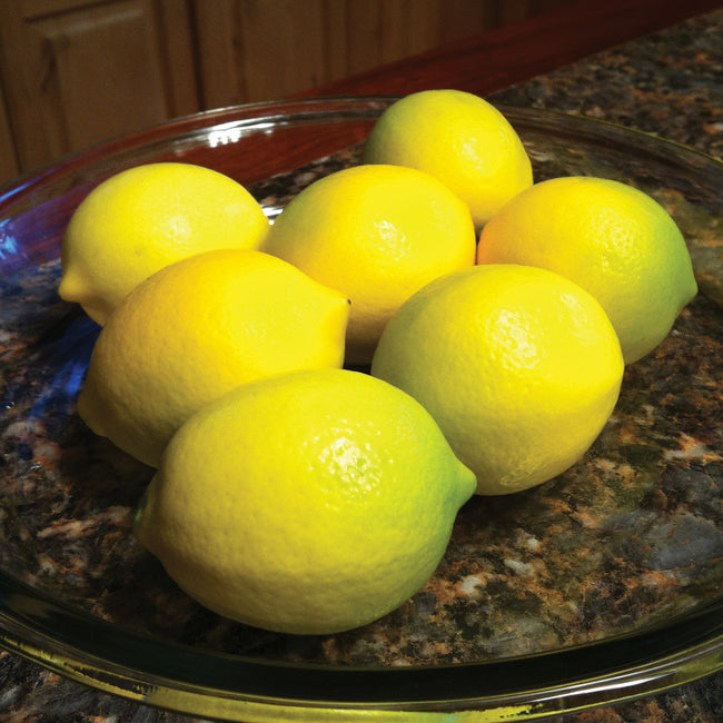 IMPROVED MEYER LEMON-CITRUS