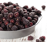 THORNLESS BOYSENBERRY-BOYSENBERRY