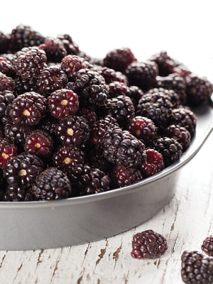 THORNLESS BOYSENBERRY-BOYSENBERRY