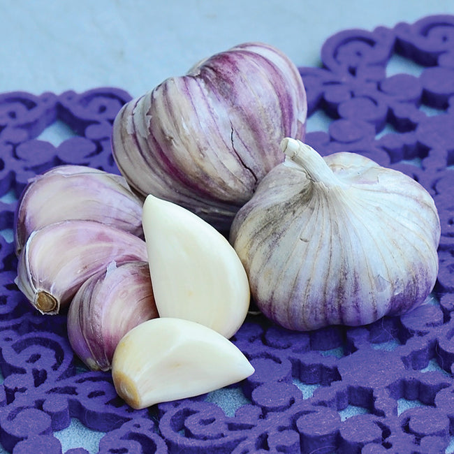 PURPLE GLAZER-GARLIC
