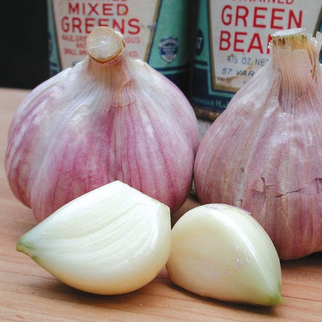 BAVARIAN PURPLE-GARLIC