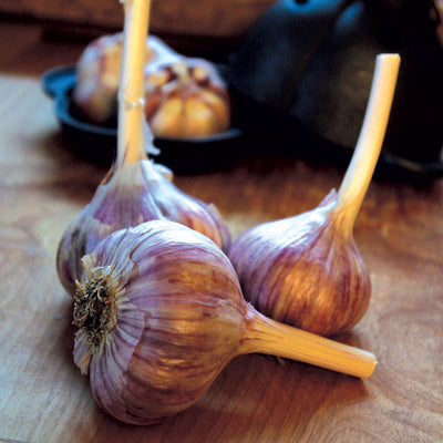 DUGANSKI-GARLIC