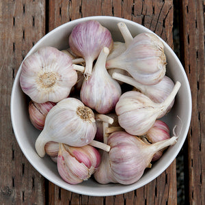 Top-down view of Uzbekistan hardneck garlic bulbs in a round bowl showcasing purple-streaked wrappers and large cloves on a light background