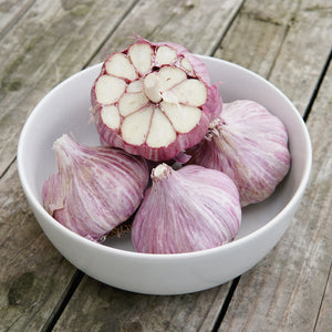 CHESNOK RED-GARLIC
