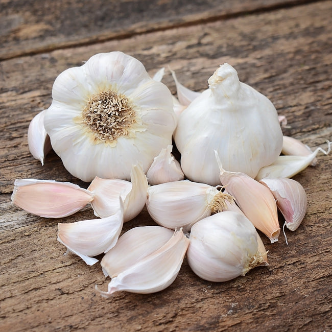 SILVER WHITE-GARLIC