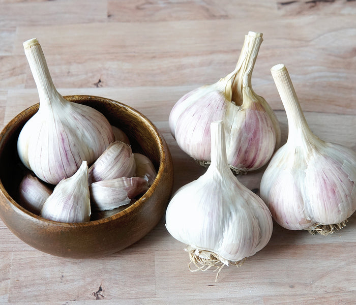 MUSIC-GARLIC