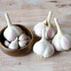 MUSIC-GARLIC