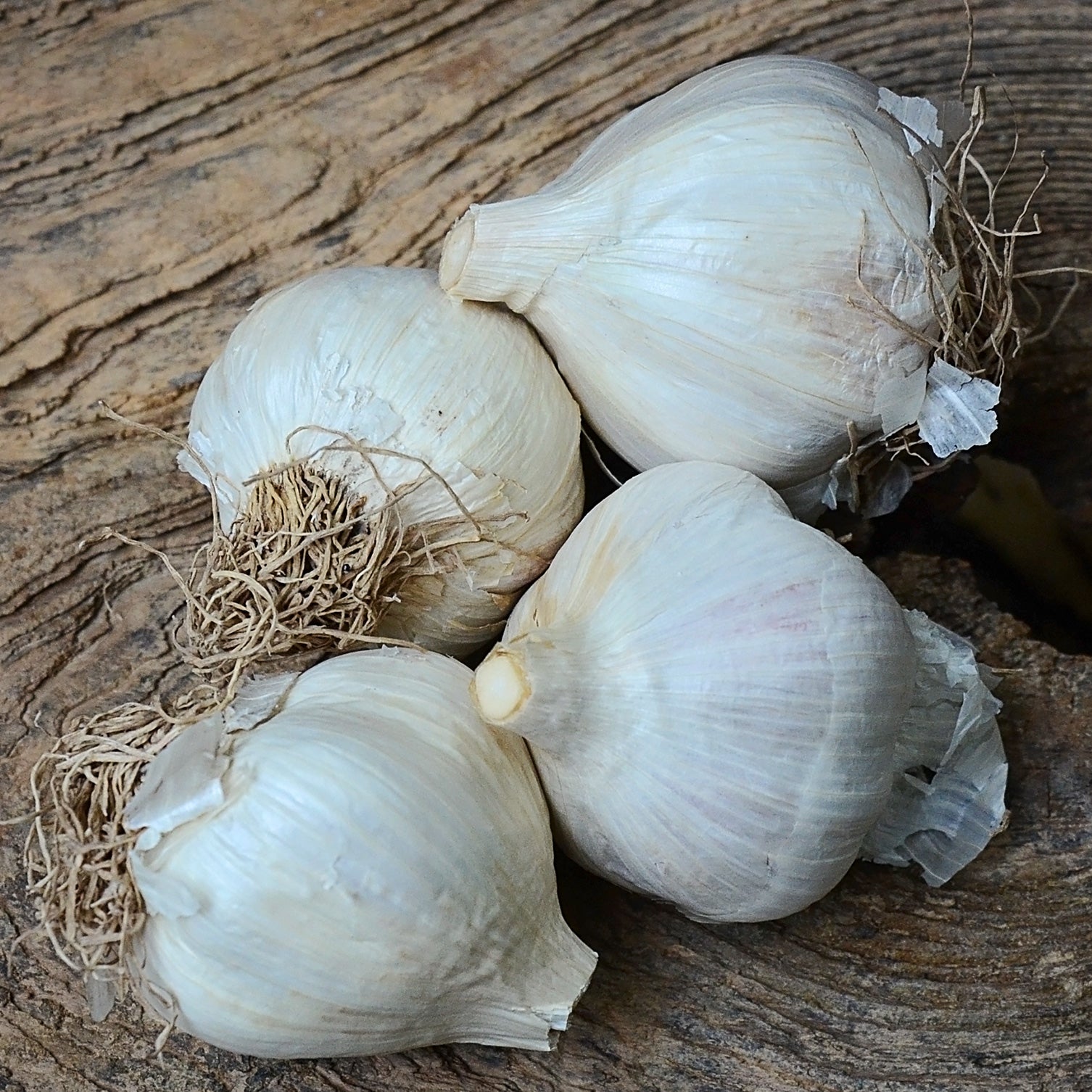 Premium Photo  A sack of garlics shallots and onions