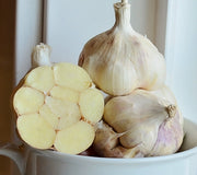 LORZ ITALIAN-GARLIC