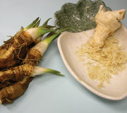 HORSERADISH ROOTS-HORSERADISH