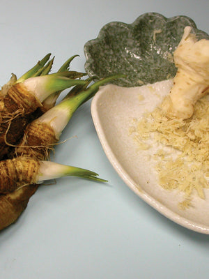 HORSERADISH ROOTS-HORSERADISH