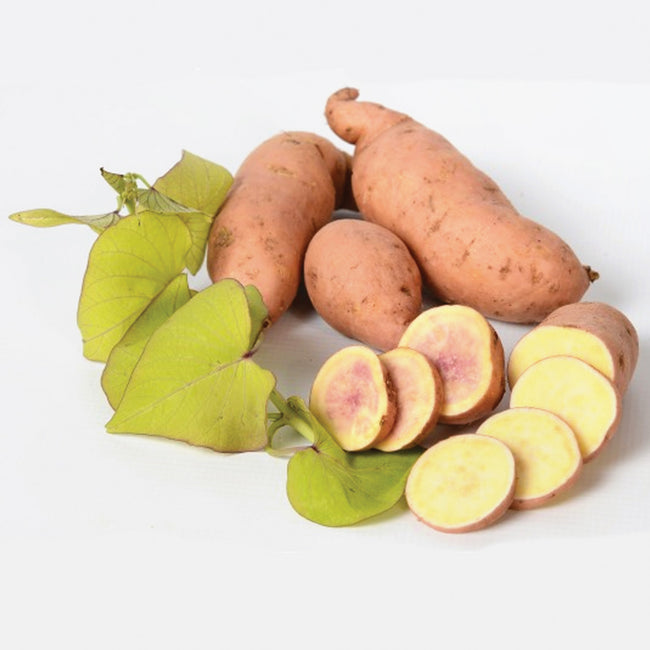 MAKATEA-SWEET POTATO