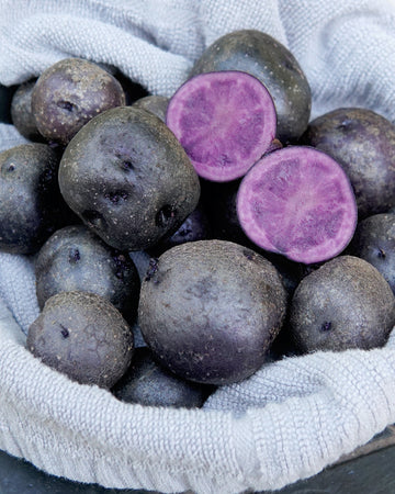 BLACKBERRY-POTATO