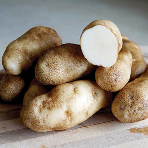 RUSSET BURBANK-POTATO
