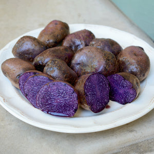 ADIRONDACK BLUE-POTATO