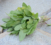 GROWER'S FRIEND-SAGE