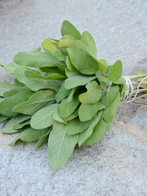 GROWER'S FRIEND-SAGE