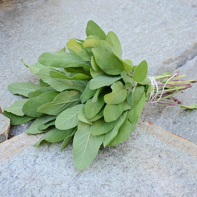 GROWER'S FRIEND-SAGE