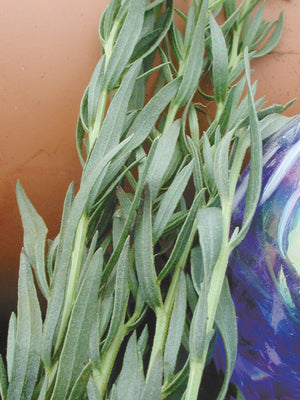 FRENCH-TARRAGON
