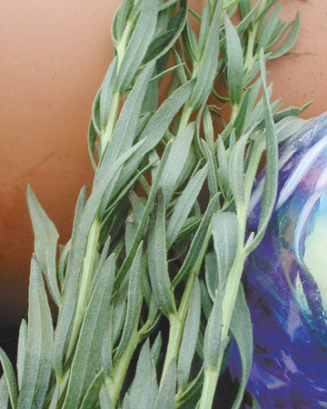 FRENCH-TARRAGON