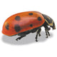 LADYBUGS-PEST CONTROL