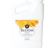 AGE OLD BLOOM-LIQUID