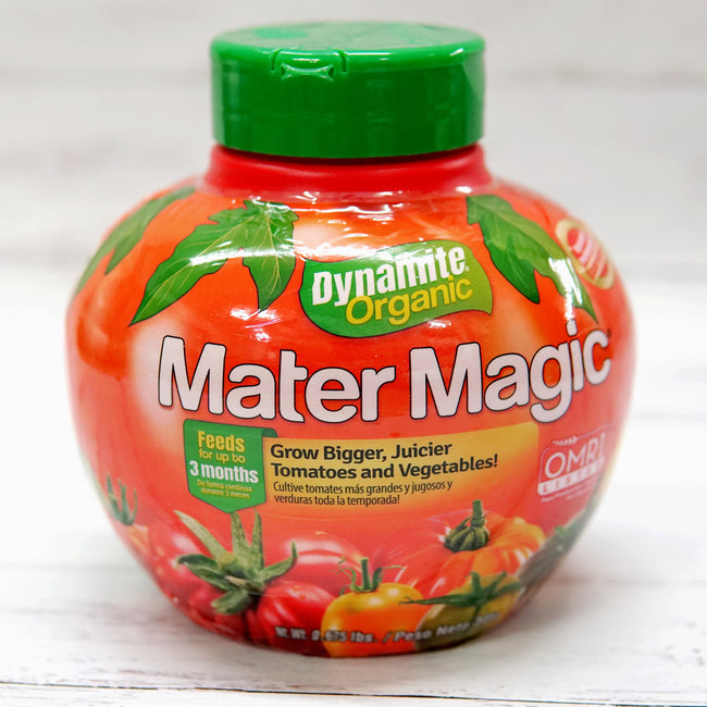 DYNAMITE MATER MAGIC-DRY