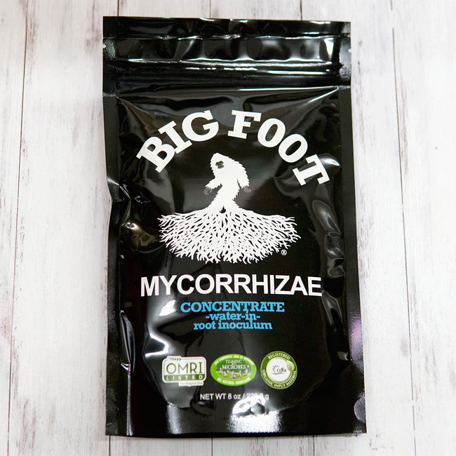 BIG FOOT CONCENTRATE MYCORRHIZAE-DRY