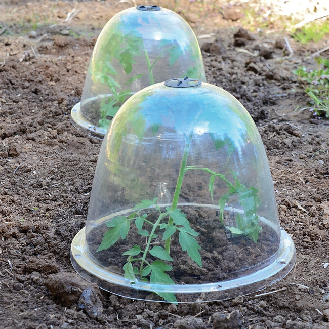 VICTORIAN BELL CLOCHES-CLOCHE