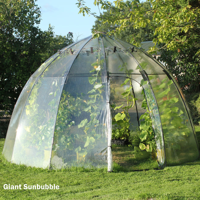 SUNBUBBLE-GREENHOUSE