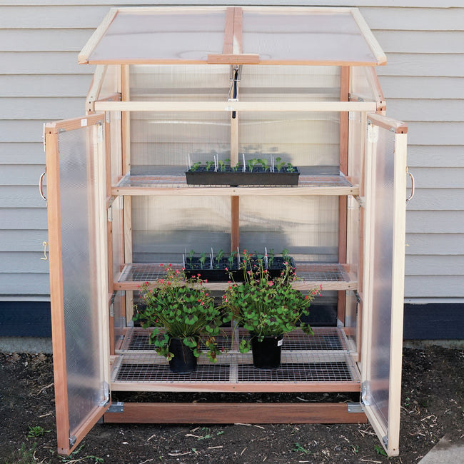 PATIO GARDENHOUSE-GREENHOUSE
