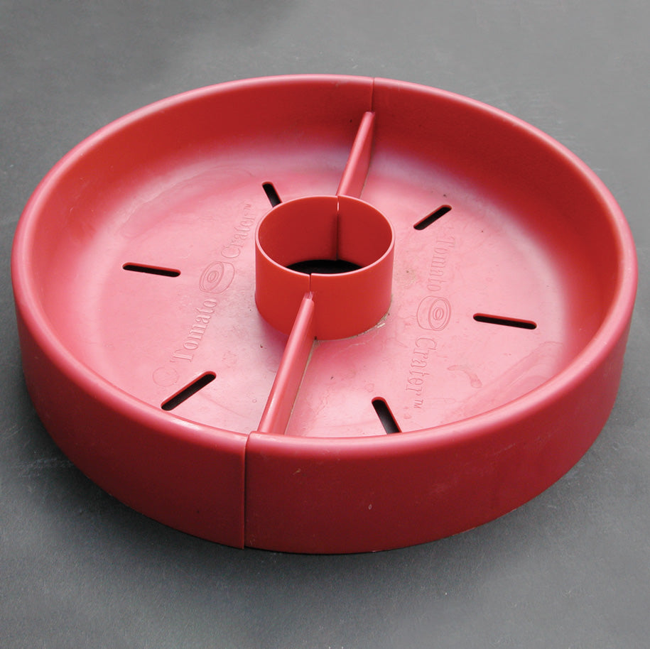 Tomato Crater | Territorial Seed