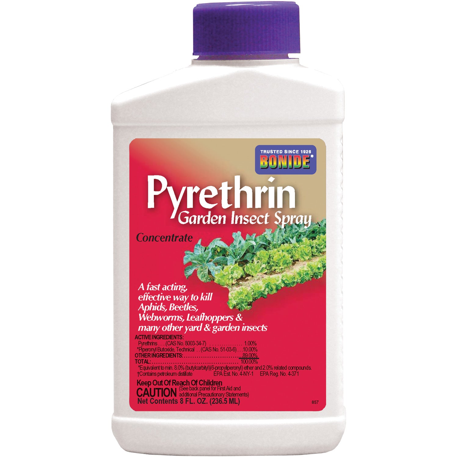 Pyrethrin Garden Insect Spray | SELECT OPTION / 8 ounces | Territorial Seed