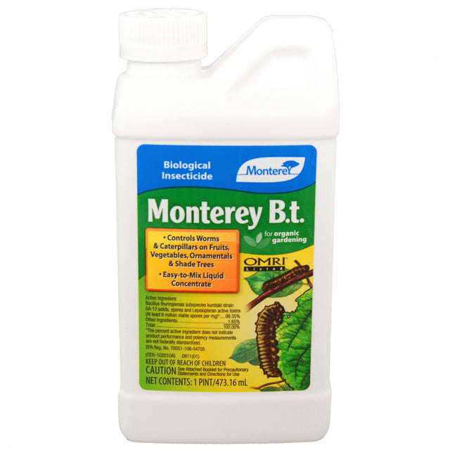 MONTEREY B.T.-INSECT