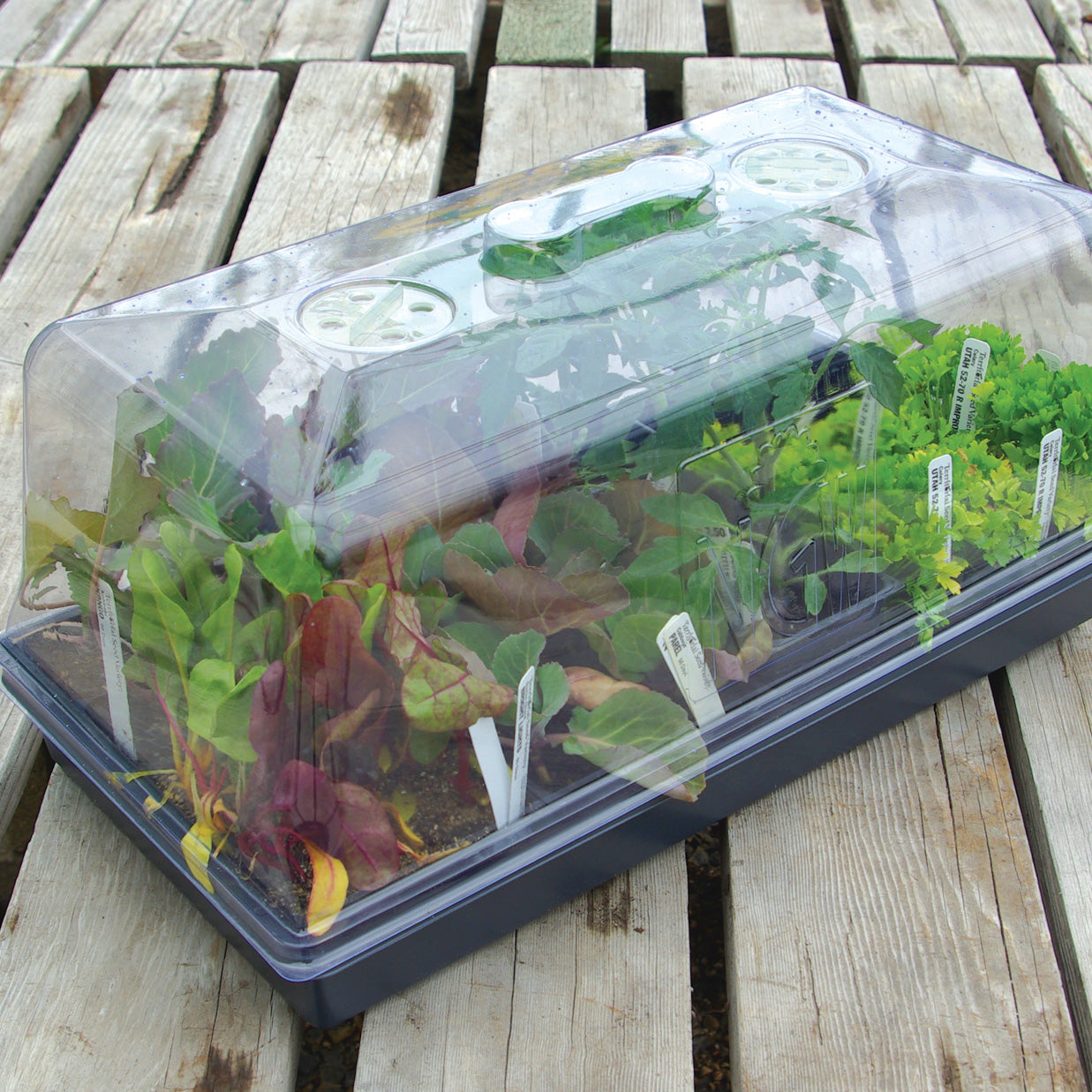 Propagator Kit 7