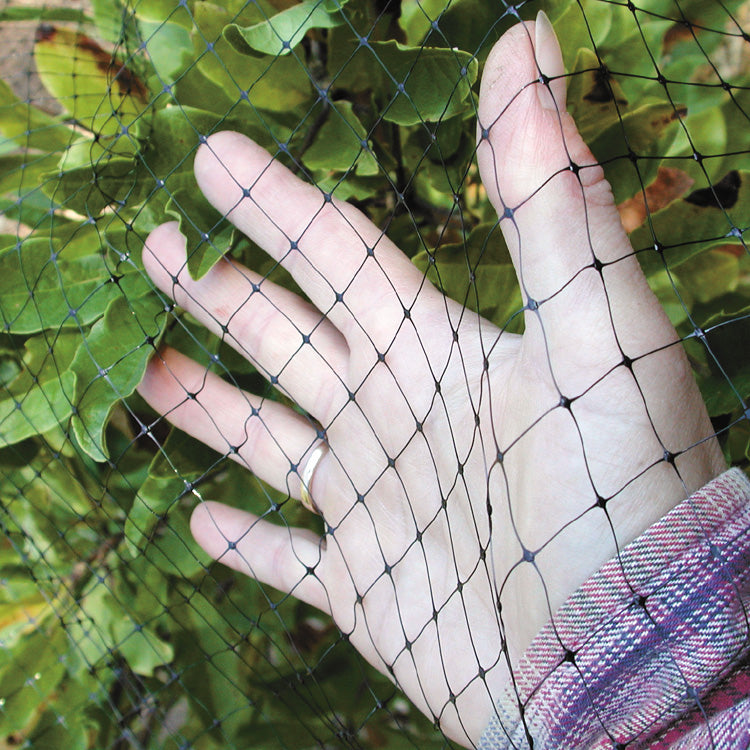 Birdblock Protective Netting | SELECT OPTION / 28' x 28' | Territorial Seed