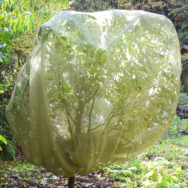FRUIT TREE COVER-PEST