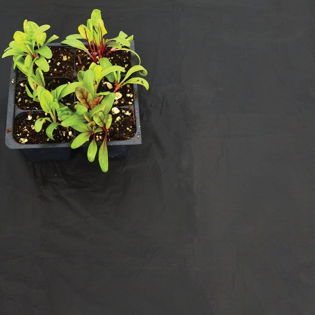 GARDEN BIO-FILM-WEED BARRIER