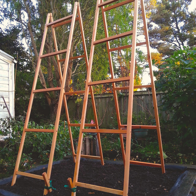 VEGETABLE TRELLISES-SUPPORT