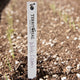 TERRITORIAL SEED COMPANY PLANT TAGS-TAG