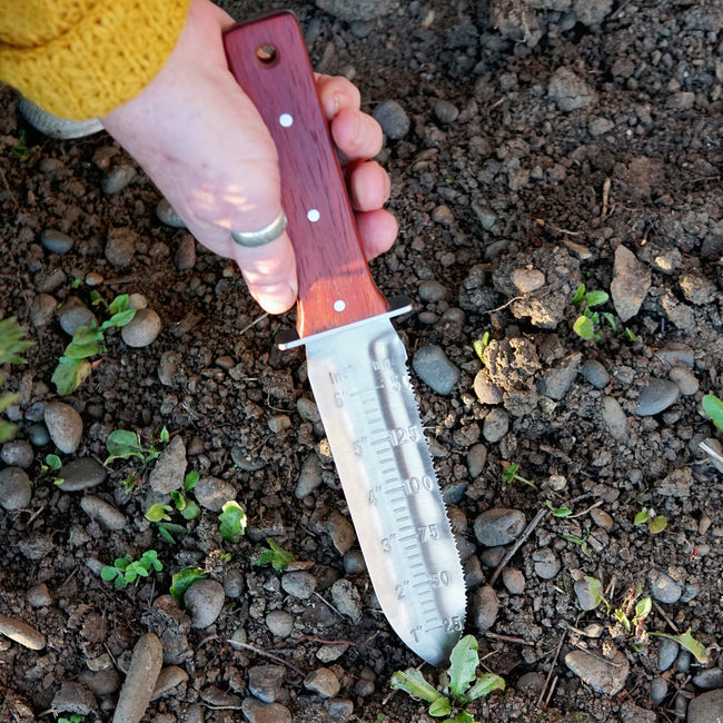 WOOD HANDLED STAINLESS STEEL HORI HORI