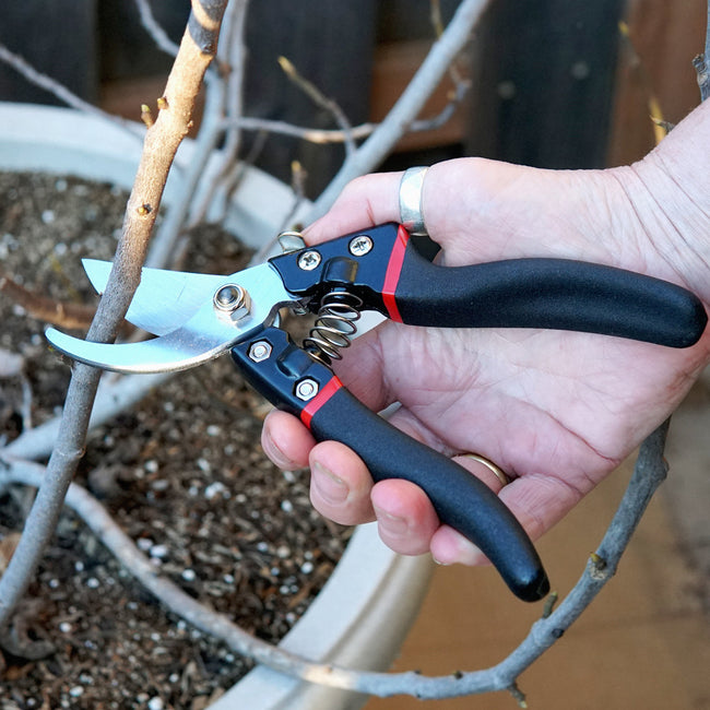 BYPASS PRUNER
