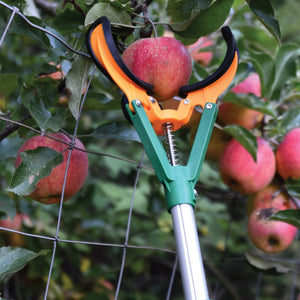 LONG REACH FRUIT HARVESTER-HARVESTING