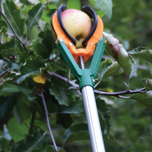 LONG REACH FRUIT HARVESTER-HARVESTING